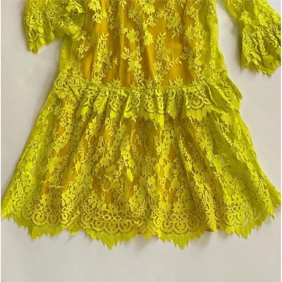 NEW J Crew 3/4 sleeve Chantilly lace dress Whimsigoth bright kiwi Victorian - Picture 16 of 16